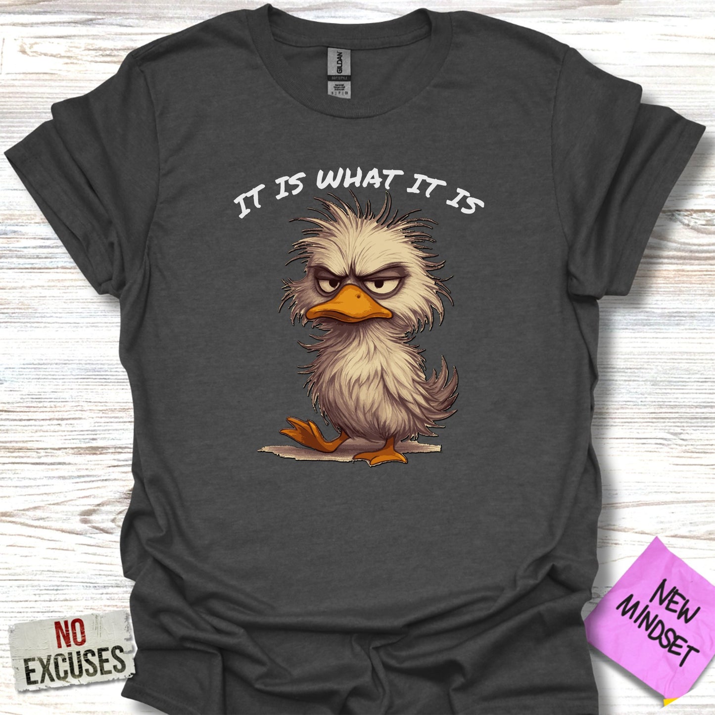 It Is What It Is Duck Illustration T-Shirt Product