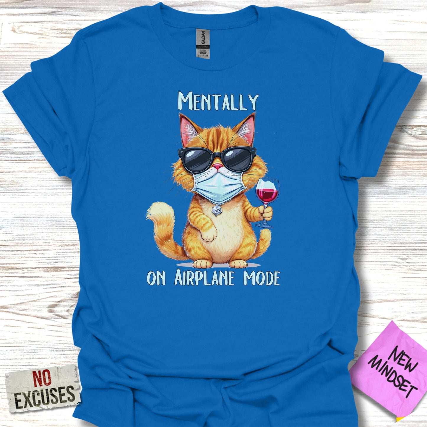 Mentally On Airplane Mode Cat Graphic T-Shirt product type