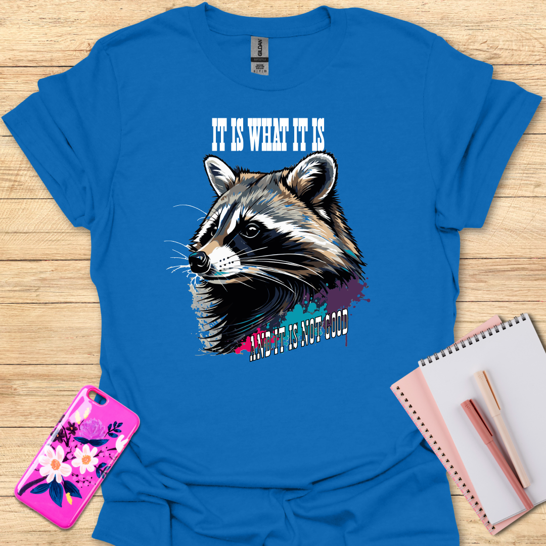 It Is What It Is T-Shirt