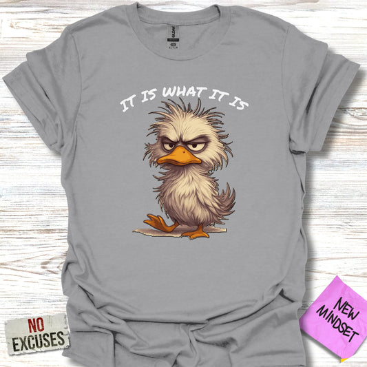 It Is What It Is Angry Bird Graphic T-shirt product type
