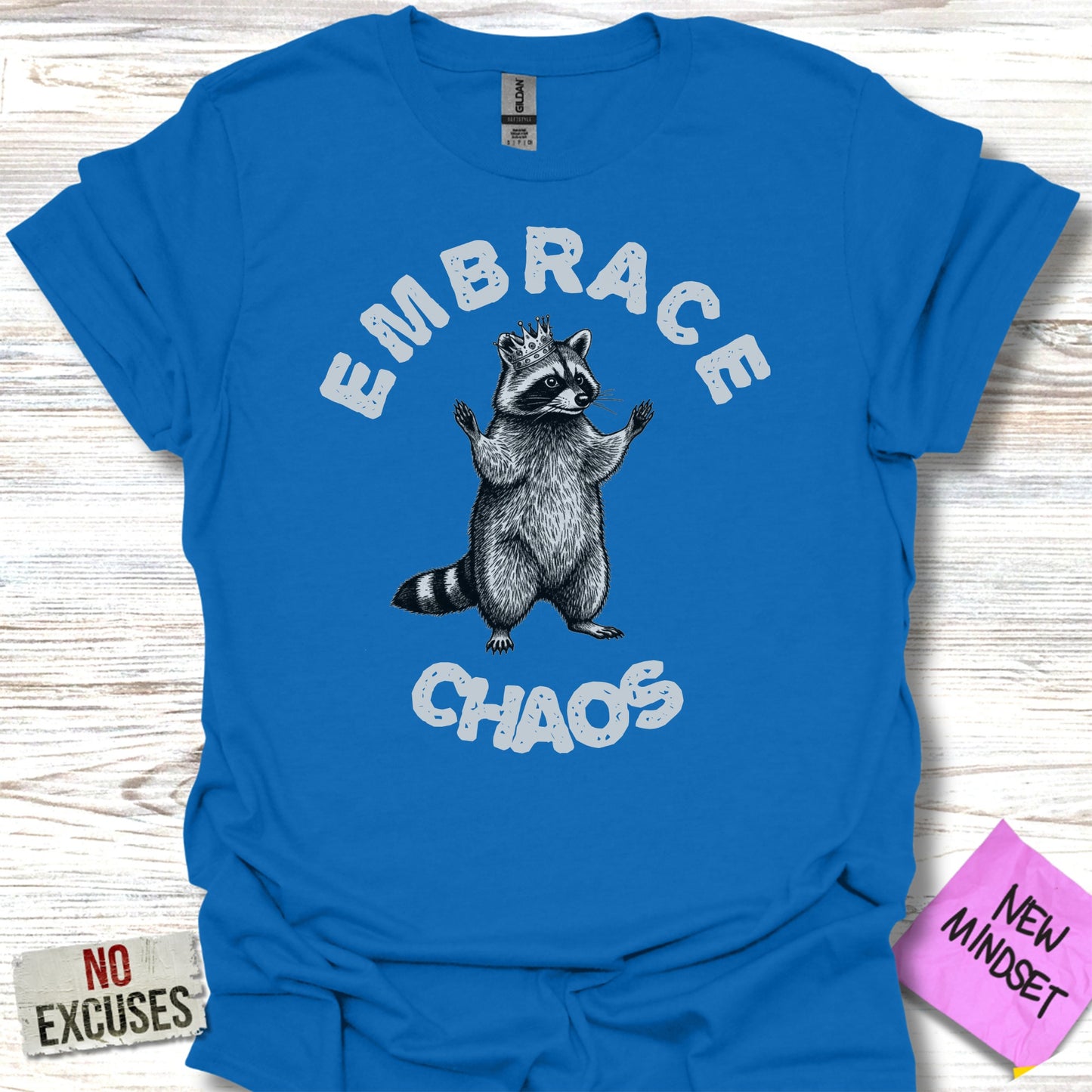 Embrace Chaos Raccoon Graphic Blue Tee product type