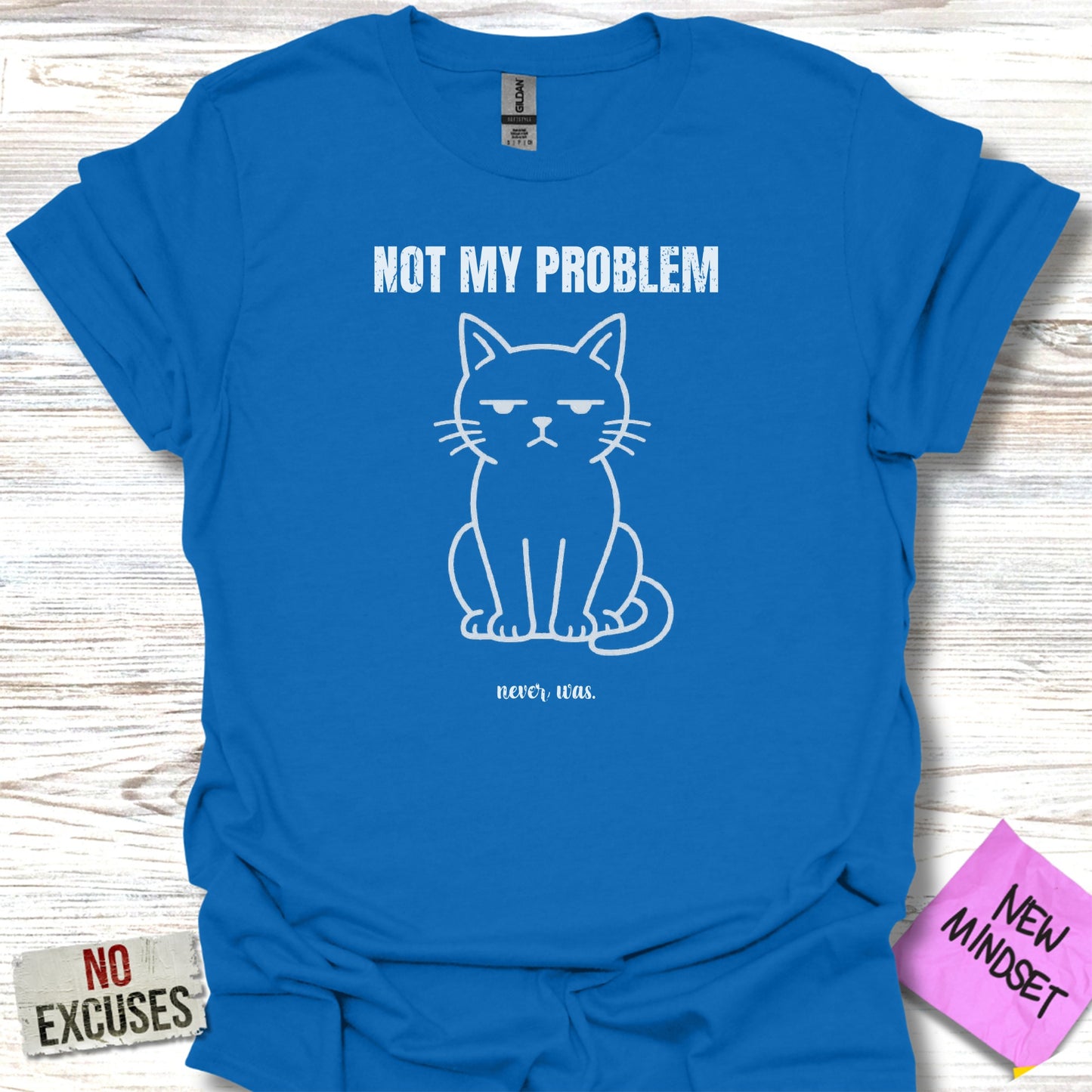 Blue t-shirt with "NOT MY PROBLEM" and a grumpy cat graphic.