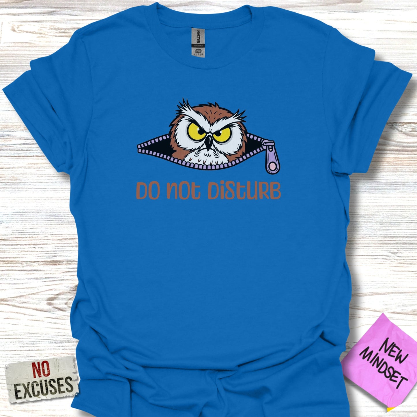 Do Not Disturb Owl Graphic Blue T-Shirt product type
