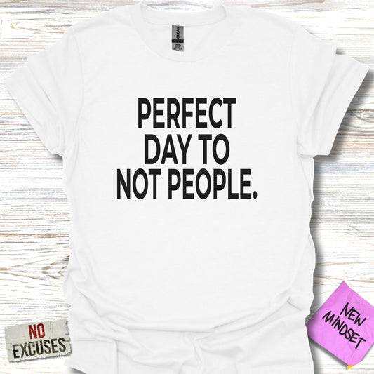 Perfect Day To Not People Graphic T-shirt product type
